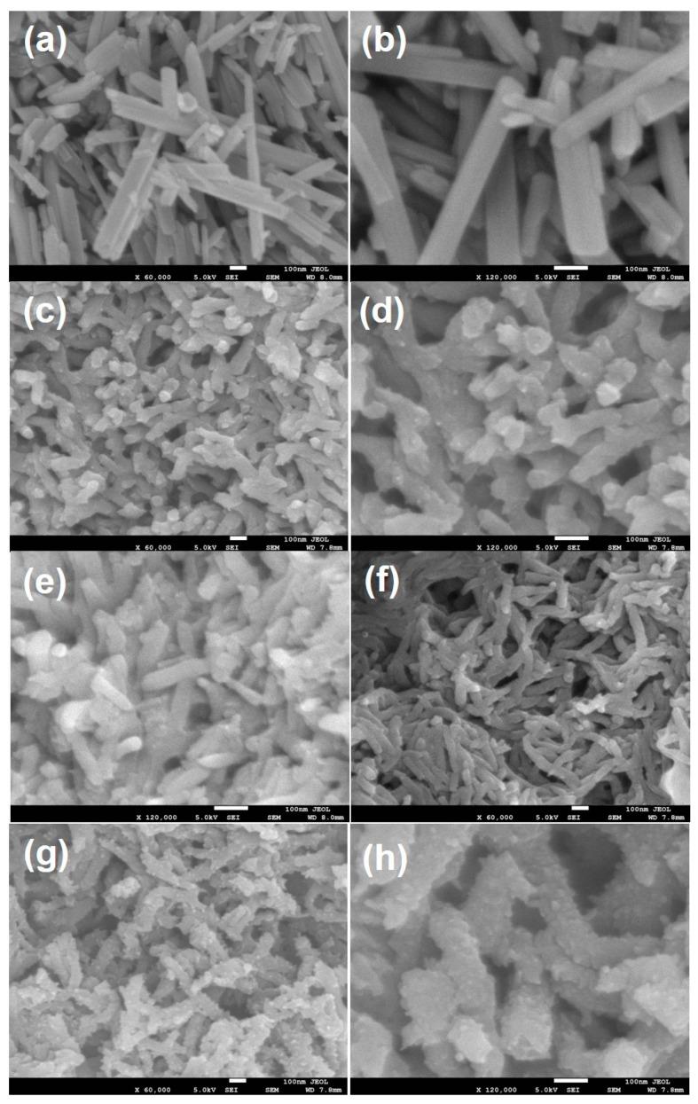 https://cdn.ncbi.nlm.nih.gov/pmc/blobs/db82/7762181/45c6b663fc32/polymers-12-02918-g001.jpg