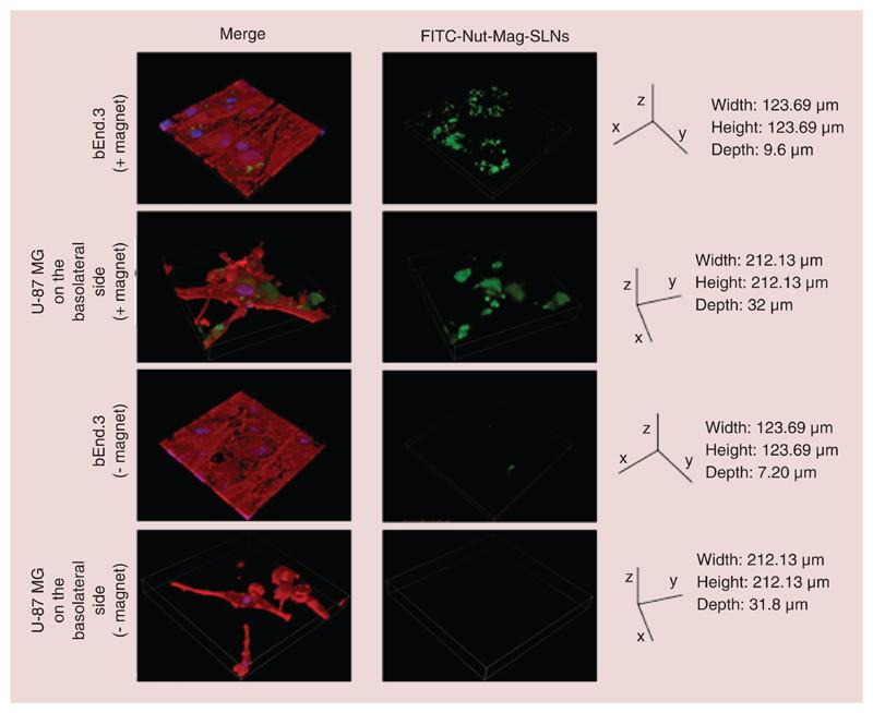 https://cdn.ncbi.nlm.nih.gov/pmc/blobs/db8a/6701990/256db16e2f5a/EMS83995-f009.jpg