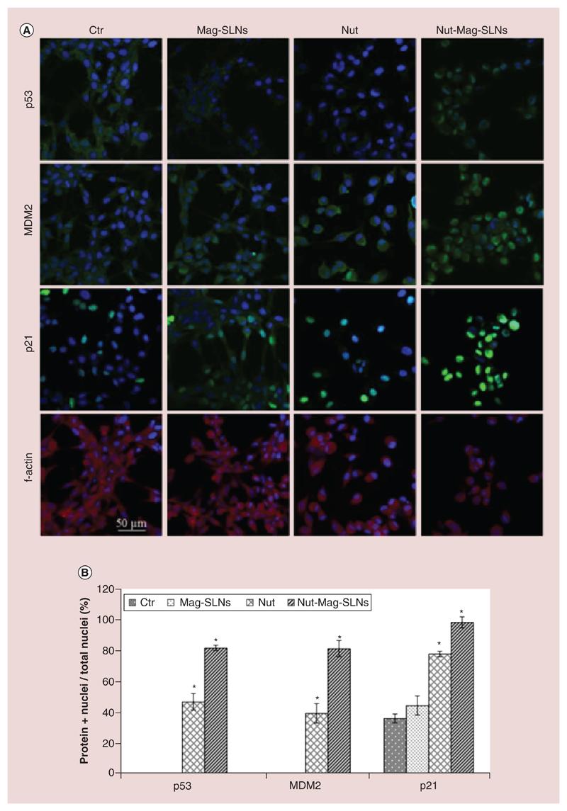 https://cdn.ncbi.nlm.nih.gov/pmc/blobs/db8a/6701990/e1582e447af3/EMS83995-f007.jpg