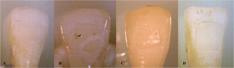 https://cdn.ncbi.nlm.nih.gov/pmc/blobs/db8b/12047214/689ffa201788/peerj-13-19335-g002.jpg