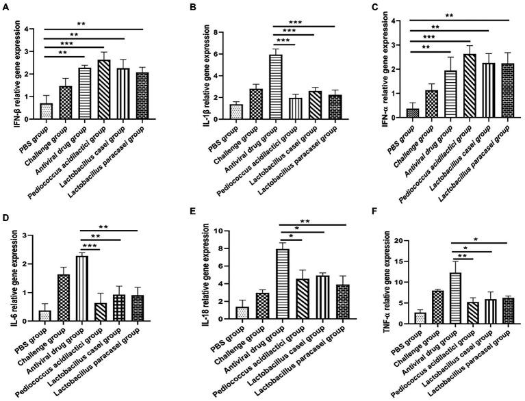 https://cdn.ncbi.nlm.nih.gov/pmc/blobs/db8b/9871908/489d242df851/fmicb-13-1069981-g003.jpg