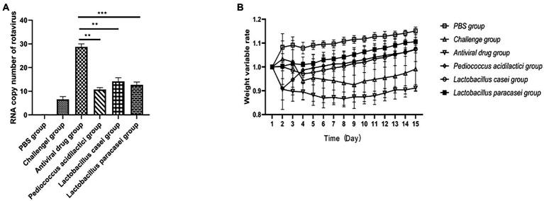 https://cdn.ncbi.nlm.nih.gov/pmc/blobs/db8b/9871908/d4b340dc42e8/fmicb-13-1069981-g004.jpg