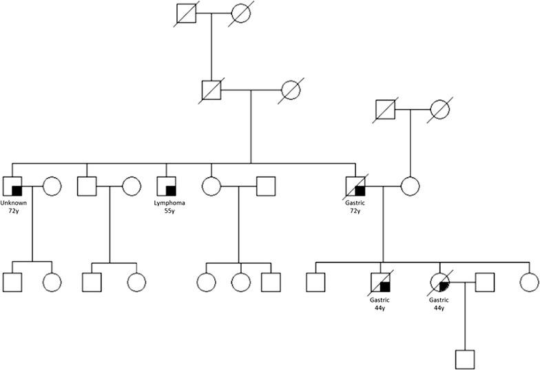 https://cdn.ncbi.nlm.nih.gov/pmc/blobs/db8c/5412046/9c39ce0c258a/12967_2017_1197_Fig1_HTML.jpg