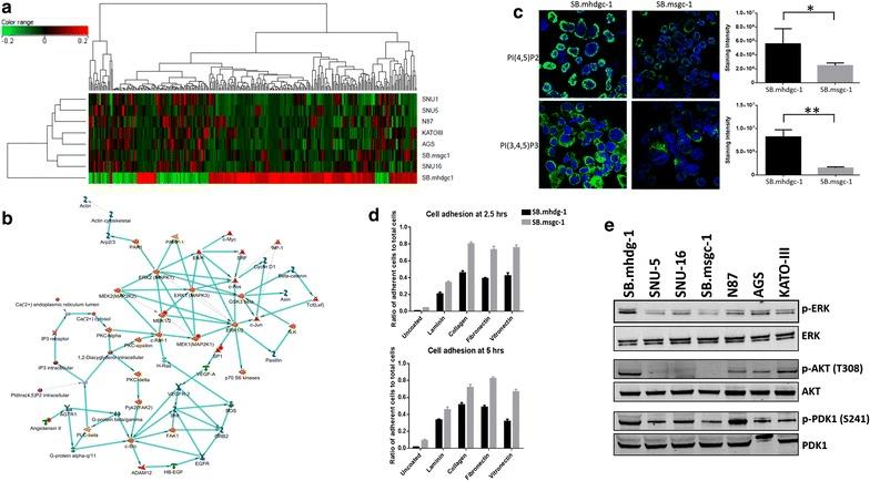 https://cdn.ncbi.nlm.nih.gov/pmc/blobs/db8c/5412046/af4a9a68a135/12967_2017_1197_Fig3_HTML.jpg