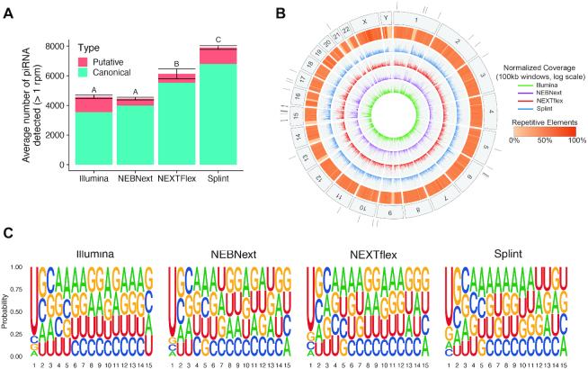 https://cdn.ncbi.nlm.nih.gov/pmc/blobs/db8c/7641310/d279d9f64c8f/gkaa480fig6.jpg