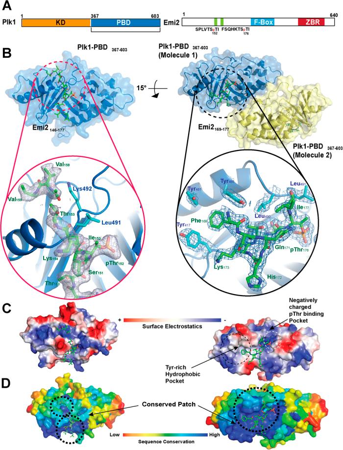 https://cdn.ncbi.nlm.nih.gov/pmc/blobs/db8d/4602232/d8faaac28c0b/srep14626-f2.jpg