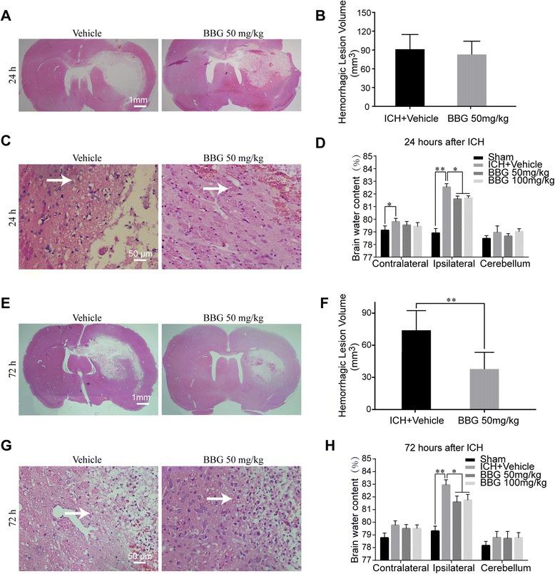 https://cdn.ncbi.nlm.nih.gov/pmc/blobs/db8f/4609067/0eab88bc6c36/12974_2015_409_Fig5_HTML.jpg