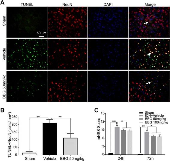 https://cdn.ncbi.nlm.nih.gov/pmc/blobs/db8f/4609067/19e173abb7ed/12974_2015_409_Fig8_HTML.jpg