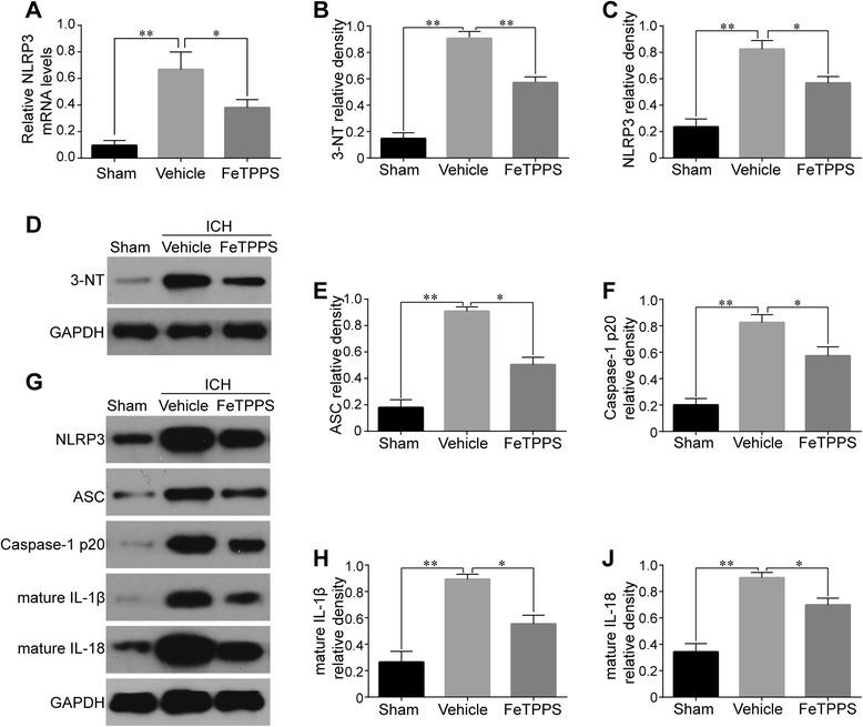 https://cdn.ncbi.nlm.nih.gov/pmc/blobs/db8f/4609067/4042ea39257f/12974_2015_409_Fig12_HTML.jpg