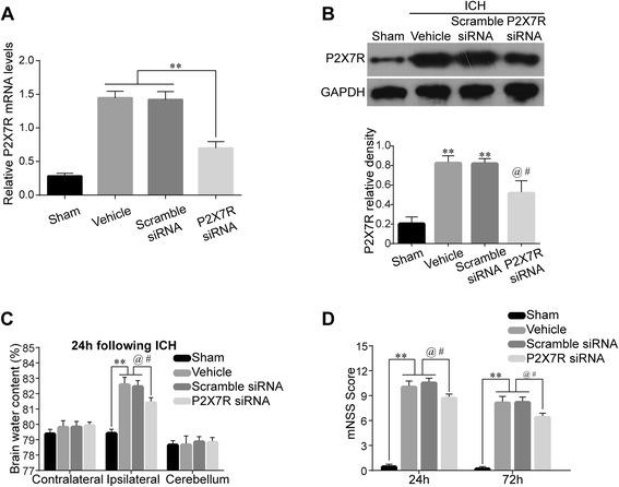https://cdn.ncbi.nlm.nih.gov/pmc/blobs/db8f/4609067/d9d6b1527afa/12974_2015_409_Fig3_HTML.jpg