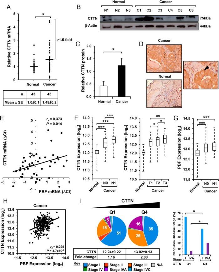 https://cdn.ncbi.nlm.nih.gov/pmc/blobs/db8f/5155689/b0e0fe539023/zeg0111628420003.jpg