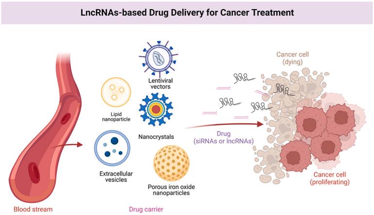https://cdn.ncbi.nlm.nih.gov/pmc/blobs/db91/10149988/02ee81313f9e/ga1.jpg