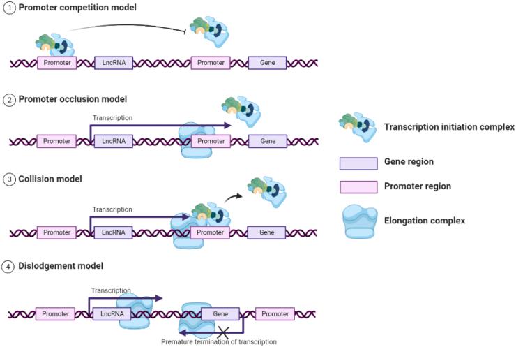 https://cdn.ncbi.nlm.nih.gov/pmc/blobs/db91/10149988/6772b839dc0b/gr1.jpg