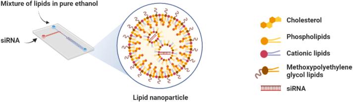 https://cdn.ncbi.nlm.nih.gov/pmc/blobs/db91/10149988/7746ec6c1df6/gr6.jpg