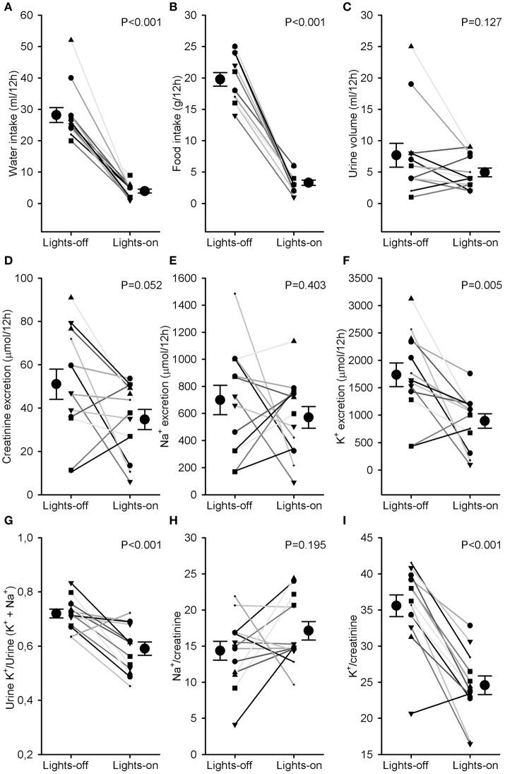 https://cdn.ncbi.nlm.nih.gov/pmc/blobs/db92/5382217/294f40f79b1a/fphys-08-00205-g0003.jpg