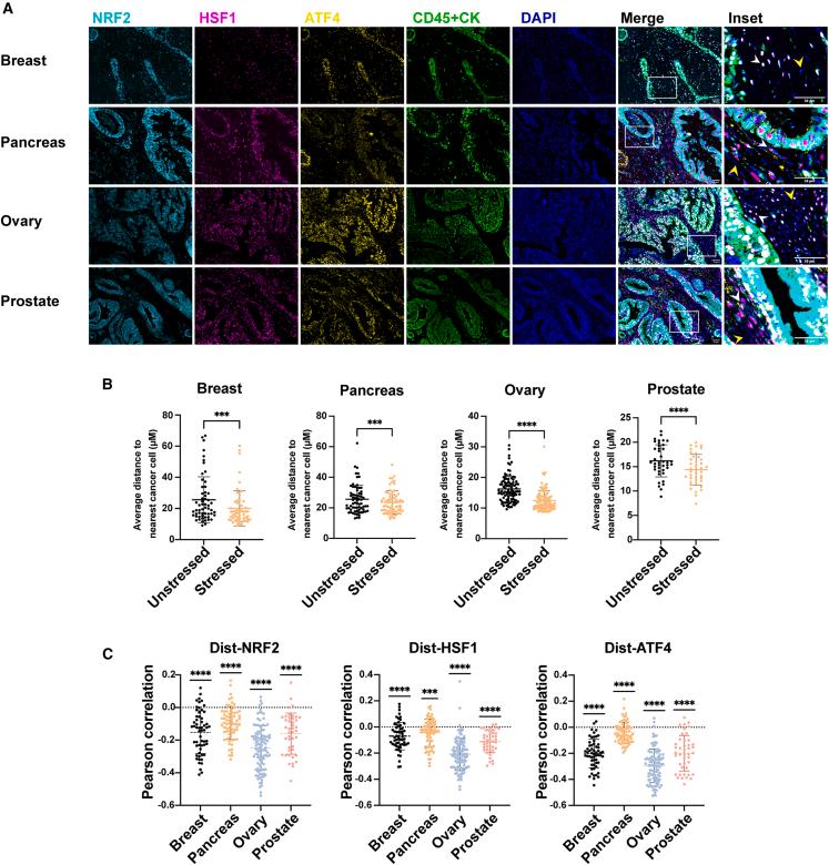 https://cdn.ncbi.nlm.nih.gov/pmc/blobs/db95/11156623/7b3423225c76/gr1.jpg