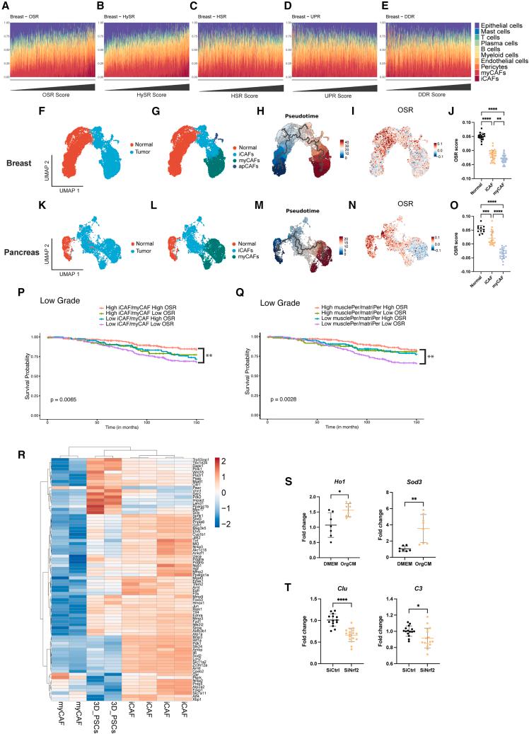 https://cdn.ncbi.nlm.nih.gov/pmc/blobs/db95/11156623/9efd00548fad/gr6.jpg