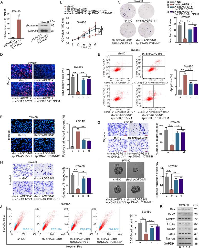 https://cdn.ncbi.nlm.nih.gov/pmc/blobs/db96/7367849/b9881d46b512/41419_2020_2707_Fig7_HTML.jpg