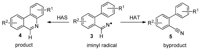 https://cdn.ncbi.nlm.nih.gov/pmc/blobs/db98/6273968/be57a8b56e78/molecules-21-01690-sch002.jpg
