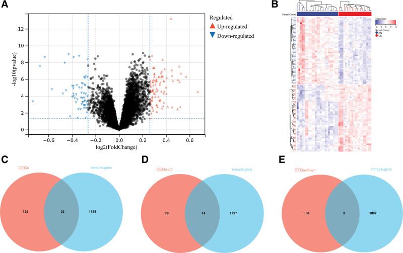 https://cdn.ncbi.nlm.nih.gov/pmc/blobs/db9b/10476789/e54b166168c7/medi-102-e34992-g002.jpg