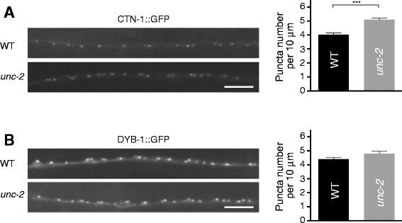 https://cdn.ncbi.nlm.nih.gov/pmc/blobs/db9d/4411755/9a64f8ccc852/12868_2015_166_Fig7_HTML.jpg