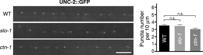 https://cdn.ncbi.nlm.nih.gov/pmc/blobs/db9d/4411755/a3bb612c7b0b/12868_2015_166_Fig6_HTML.jpg