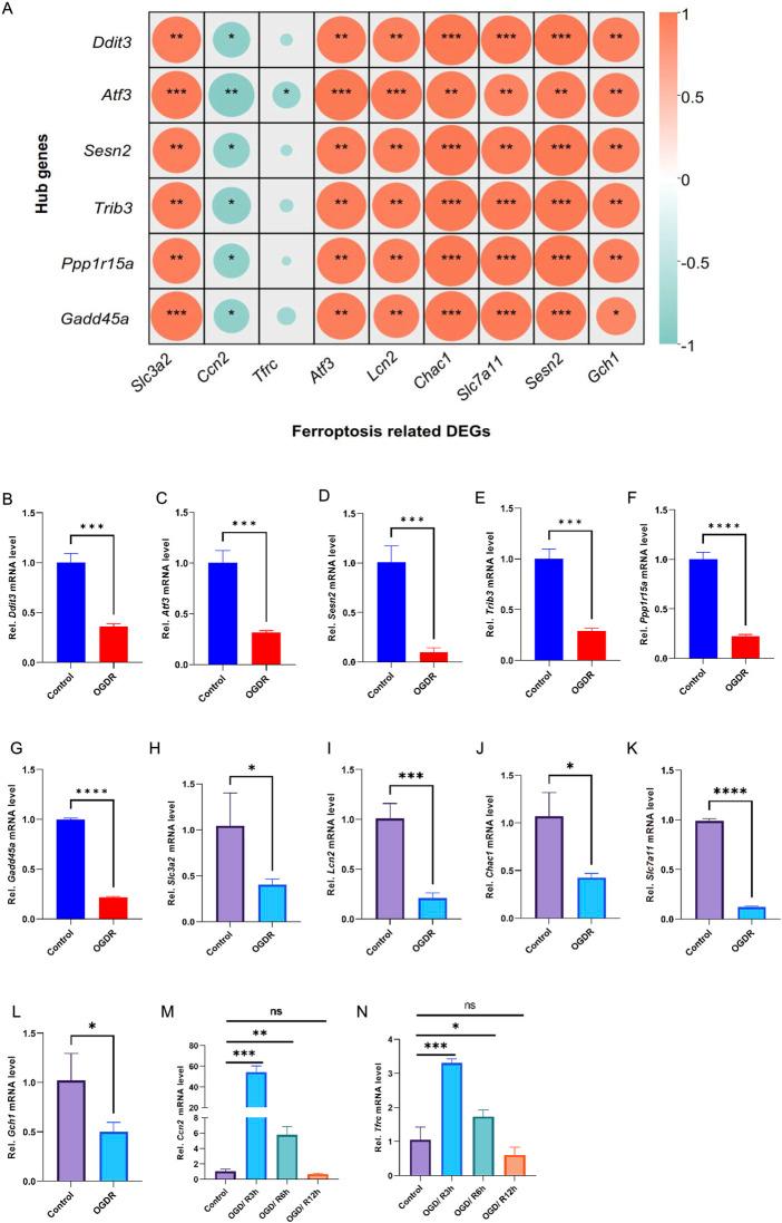 https://cdn.ncbi.nlm.nih.gov/pmc/blobs/db9f/11814456/c56ab23b42d9/fgene-15-1504114-g004.jpg
