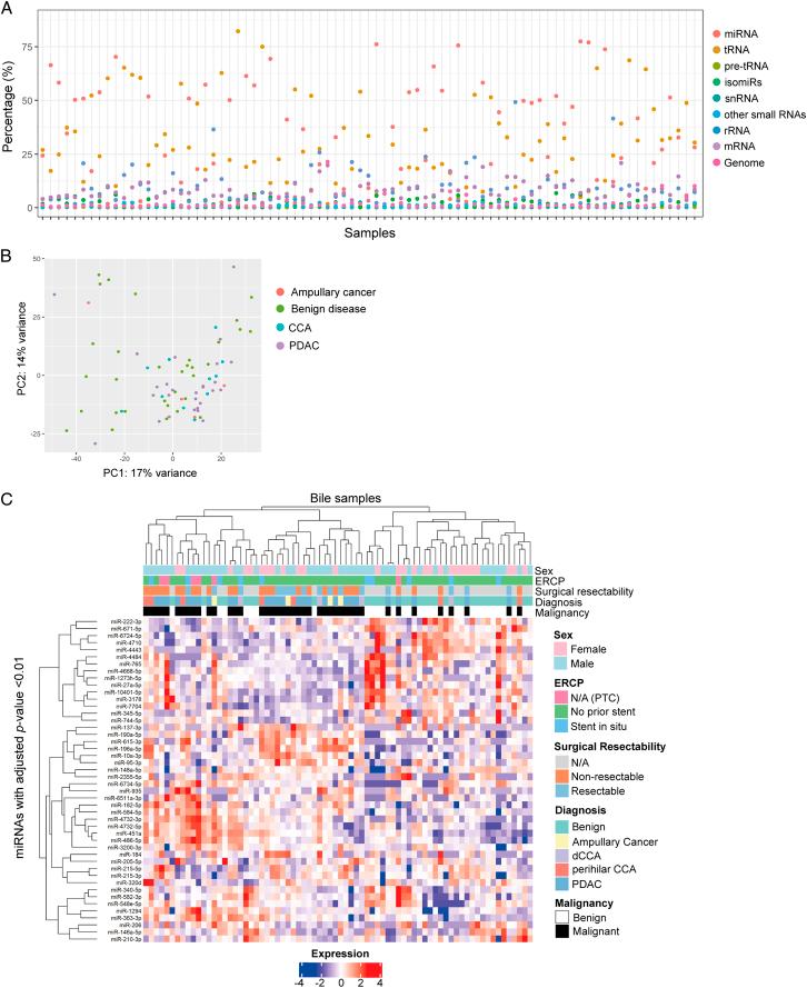 https://cdn.ncbi.nlm.nih.gov/pmc/blobs/dba0/11486953/3b69ca56d476/js9-110-6518-g003.jpg