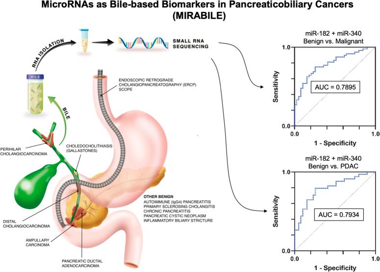 https://cdn.ncbi.nlm.nih.gov/pmc/blobs/dba0/11486953/cd6c7877a663/js9-110-6518-g001.jpg