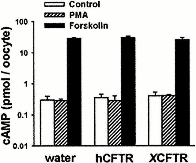 https://cdn.ncbi.nlm.nih.gov/pmc/blobs/dba0/2233655/03263c907632/JGP8372.f3.jpg