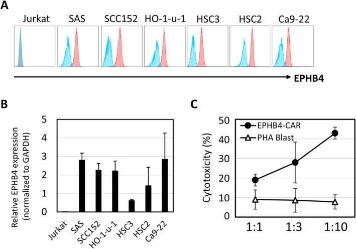 https://cdn.ncbi.nlm.nih.gov/pmc/blobs/dba1/12044661/30149e38441a/CAS-116-1227-g003.jpg