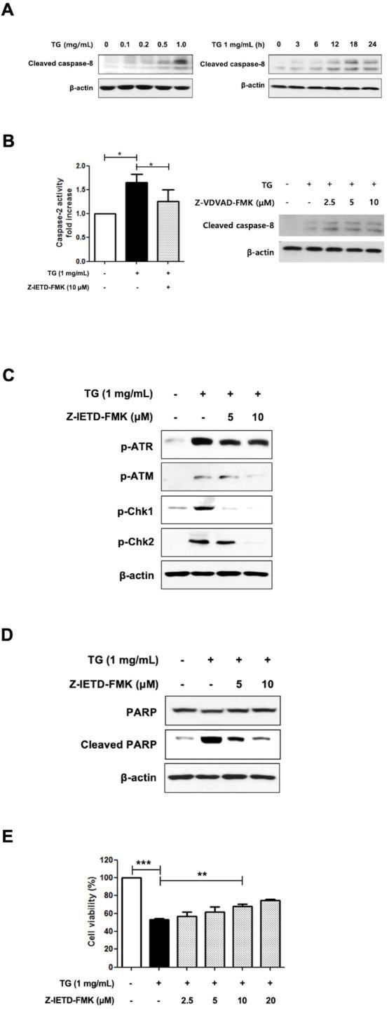https://cdn.ncbi.nlm.nih.gov/pmc/blobs/dba2/10068338/a79859e53cae/bmb-56-3-166-f4.jpg