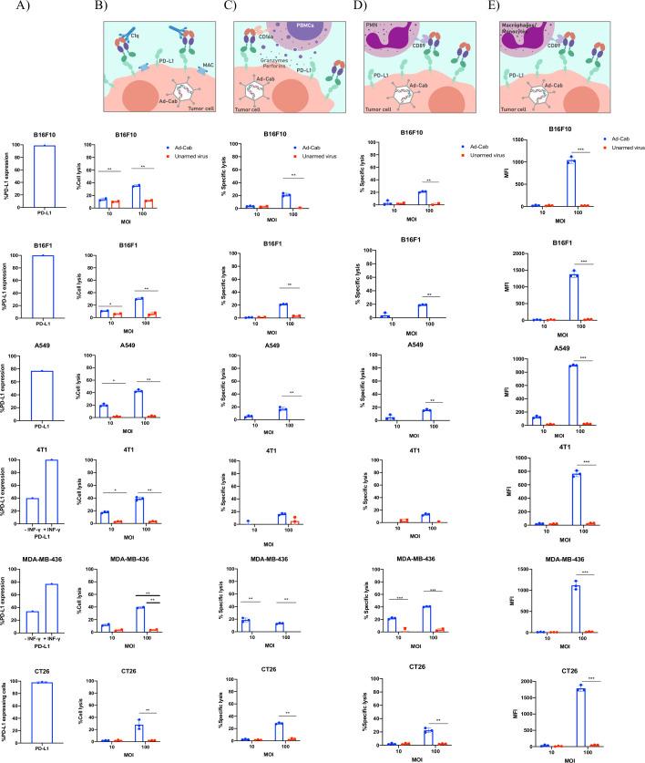 https://cdn.ncbi.nlm.nih.gov/pmc/blobs/dba2/8351494/292deeedcc83/jitc-2021-003000f02.jpg