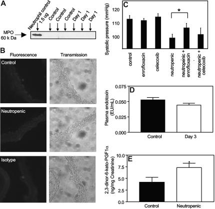 https://cdn.ncbi.nlm.nih.gov/pmc/blobs/dba5/2602588/f39e3d832039/zh80090818550004.jpg