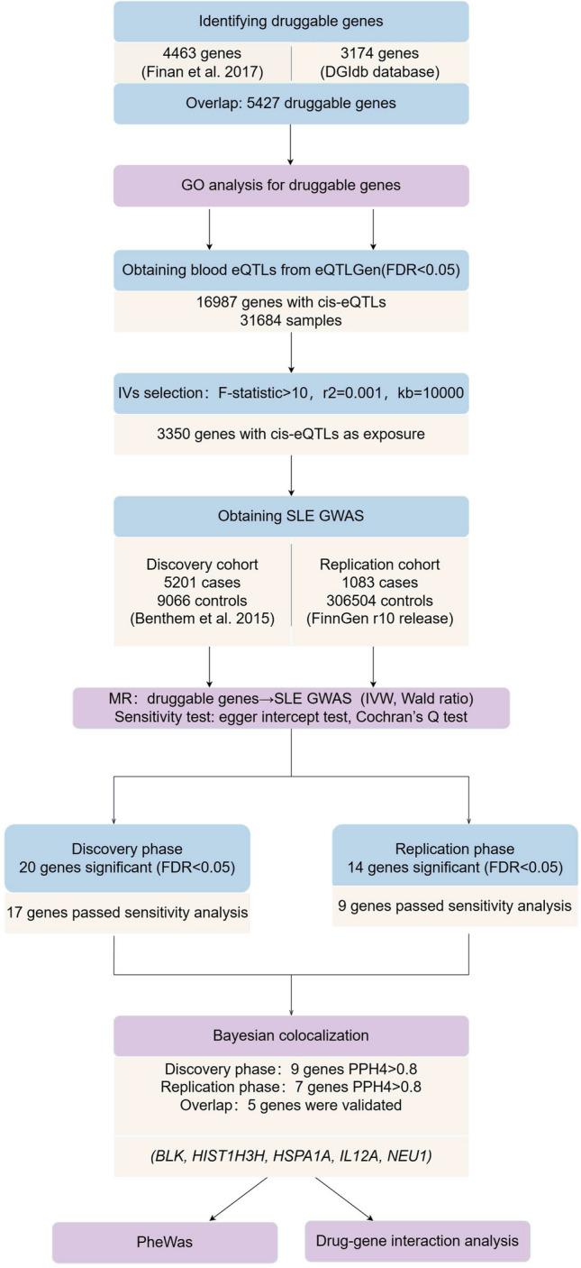https://cdn.ncbi.nlm.nih.gov/pmc/blobs/dba7/11330408/63d097144c85/10067_2024_7059_Fig1_HTML.jpg