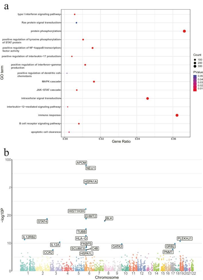 https://cdn.ncbi.nlm.nih.gov/pmc/blobs/dba7/11330408/90a18c82fdd8/10067_2024_7059_Fig2_HTML.jpg