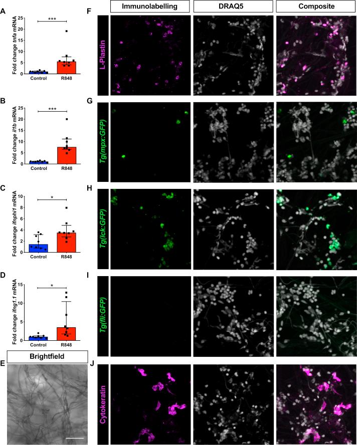 https://cdn.ncbi.nlm.nih.gov/pmc/blobs/dba8/6602583/cab76d3b4ae8/fx3.jpg