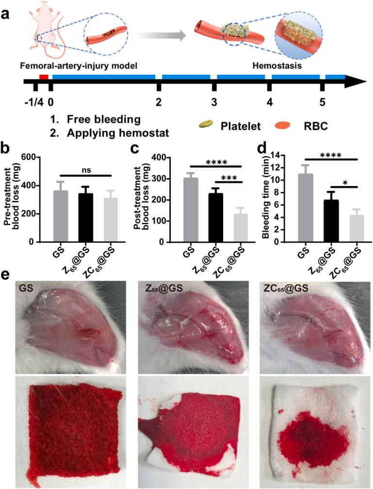 https://cdn.ncbi.nlm.nih.gov/pmc/blobs/dba9/12345339/0d753bf94ccc/gr5.jpg