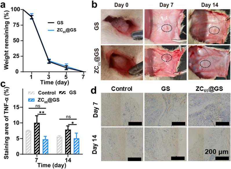 https://cdn.ncbi.nlm.nih.gov/pmc/blobs/dba9/12345339/47f565273bfb/gr7.jpg