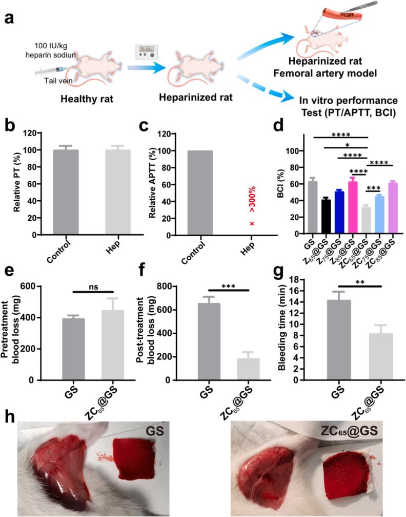 https://cdn.ncbi.nlm.nih.gov/pmc/blobs/dba9/12345339/9ed5760bda04/gr6.jpg