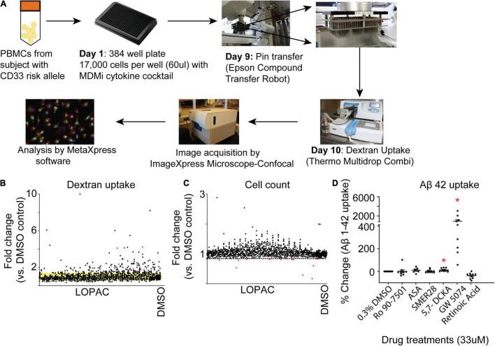 https://cdn.ncbi.nlm.nih.gov/pmc/blobs/dba9/9169965/92bcff10c10e/fncel-16-894601-g002.jpg