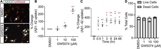 https://cdn.ncbi.nlm.nih.gov/pmc/blobs/dba9/9169965/fbb3cb7a092a/fncel-16-894601-g003.jpg