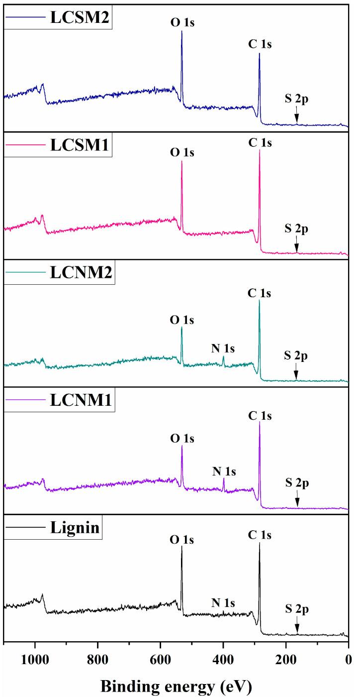 https://cdn.ncbi.nlm.nih.gov/pmc/blobs/dbaa/12073771/74d5af992ecd/polymers-17-01221-g002.jpg