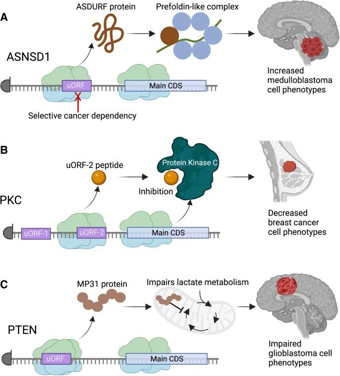 https://cdn.ncbi.nlm.nih.gov/pmc/blobs/dbac/11106035/f4abea73dd9d/zcae023fig4.jpg