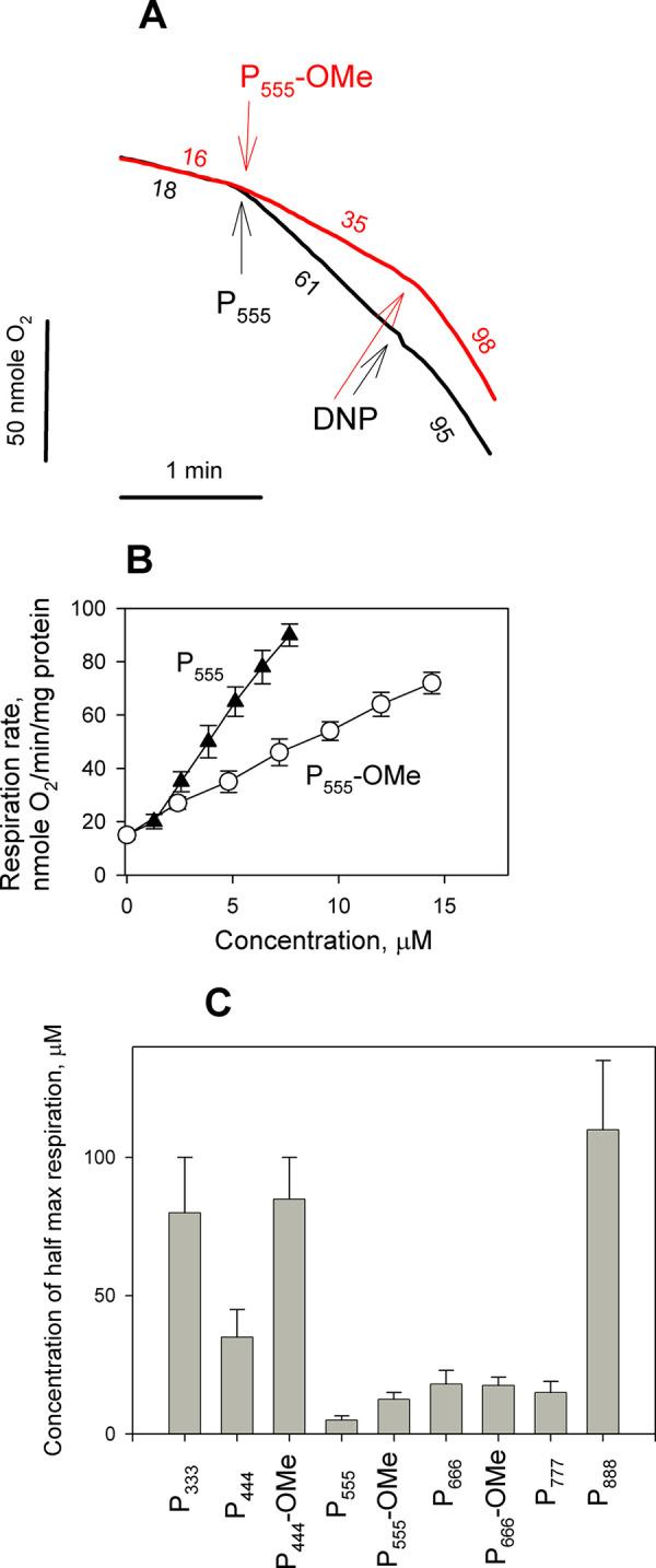 https://cdn.ncbi.nlm.nih.gov/pmc/blobs/dbad/8359139/aa178bed3831/ao1c02909_0003.jpg