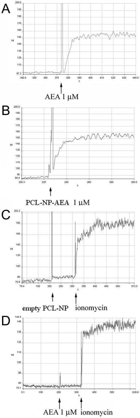 https://cdn.ncbi.nlm.nih.gov/pmc/blobs/dbae/2858646/9ac54c5c0707/pone.0010239.g005.jpg