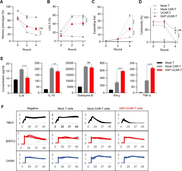 https://cdn.ncbi.nlm.nih.gov/pmc/blobs/dbaf/11792090/346f31dc6570/fimmu-15-1531294-g005.jpg