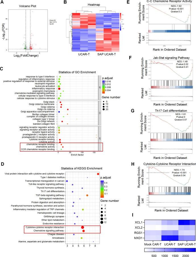 https://cdn.ncbi.nlm.nih.gov/pmc/blobs/dbaf/11792090/4859a5ee9e72/fimmu-15-1531294-g007.jpg
