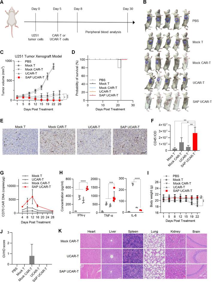 https://cdn.ncbi.nlm.nih.gov/pmc/blobs/dbaf/11792090/5a1809156c15/fimmu-15-1531294-g006.jpg