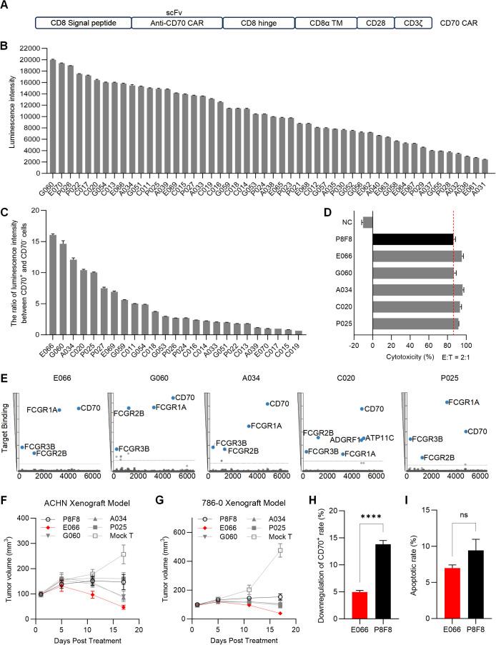 https://cdn.ncbi.nlm.nih.gov/pmc/blobs/dbaf/11792090/8d506ca075e6/fimmu-15-1531294-g001.jpg
